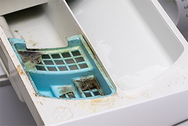 Mould In Washing Machine Dispensor